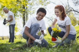 volunteers picking trash talking about Directors And Officers Insurance For Nonprofits