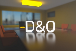 Directors and Officers Insurance Concept