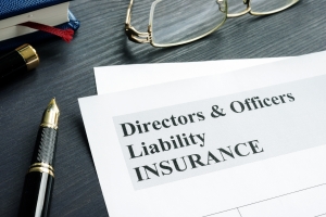 Directors and Officers Liability Insurance Application Form